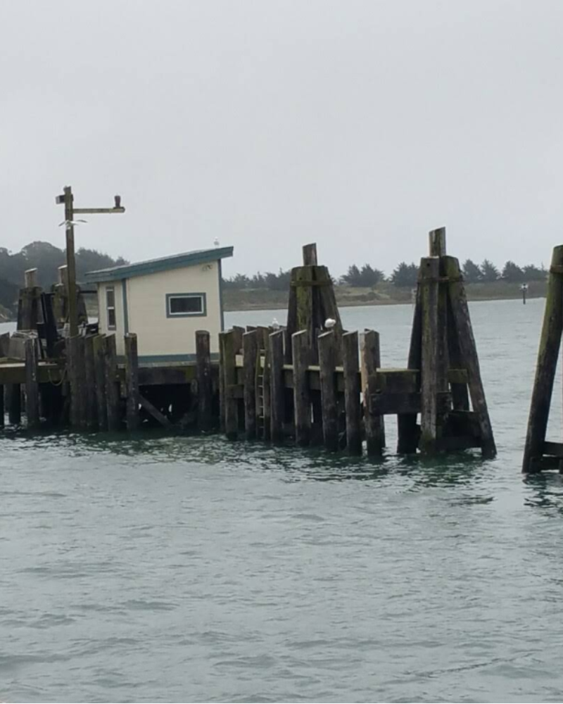 Bodega Bay1